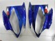Bleu Requin Carénage R6 2006-2007 Bleu Requin Carénage R6 2006-2007