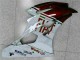 Brun Blanc Carénage R6 2006-2007 Brun Blanc Carénage R6 2006-2007
