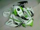 Vert Blanc Carénages CBR 1000 RR 2008-2011 Vert Blanc Carénages CBR 1000 RR 2008-2011
