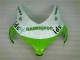 Vert Blanc Carénages CBR 1000 RR 2008-2011 Vert Blanc Carénages CBR 1000 RR 2008-2011