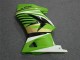 Vert Blanc Noir Ninja Carénage EX250 2008-2012