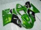 Vert Carénage R1 2000-2001 Vert Carénage R1 2000-2001