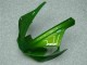 Vert Carénage R1 2000-2001 Vert Carénage R1 2000-2001