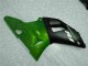 Vert Carénage R1 2000-2001 Vert Carénage R1 2000-2001