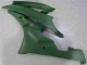 Vert Carénage R6 2006-2007 Vert Carénage R6 2006-2007