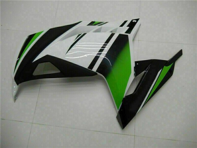 Vert Noir Argent Carénage EX300 2013-2016