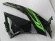 Vert Noir Carénage ZX6R 2009-2012 Vert Noir Carénage ZX6R 2009-2012