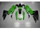 Vert Noir Carénages EX650 2009-2011 Vert Noir Carénages EX650 2009-2011