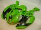 Vert Noir Dunlop Carénage ZX6R 2007-2008 Vert Noir Dunlop Carénage ZX6R 2007-2008