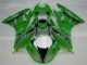 Vert Noir LeoVince Carénage ZX6R 2009-2012 Vert Noir LeoVince Carénage ZX6R 2009-2012