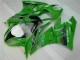 Vert Noir LeoVince Carénage ZX6R 2009-2012 Vert Noir LeoVince Carénage ZX6R 2009-2012